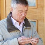 Alzheimers sjukdom: orsak, symtom & behandling